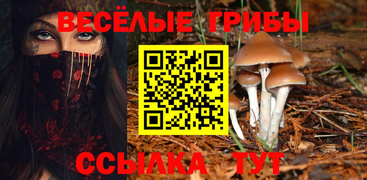 Галлюциногенные грибы MAGIC MUSHROOMS Славгород